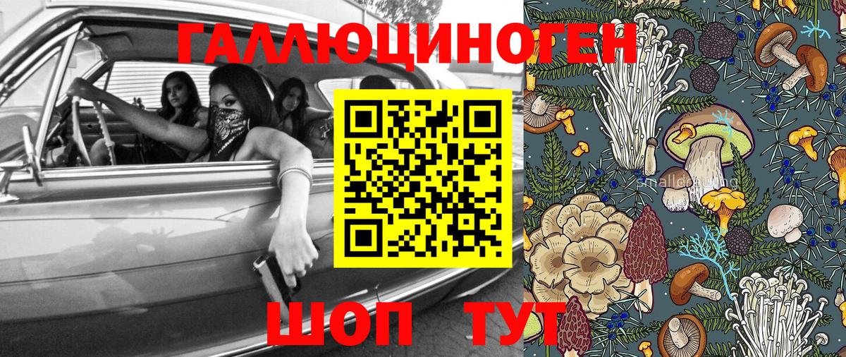 Новошахтинск  как найти   Вход с VPN  Псилоцибиновые грибы мицелий 
