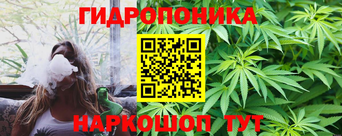 Бошки Шишки Bruce Banner  МАРИХУАНА Bruce Banner  Вход с VPN  Новошахтинск 